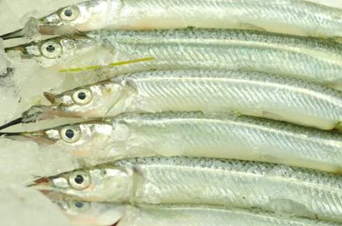 Fish market Stock Photos