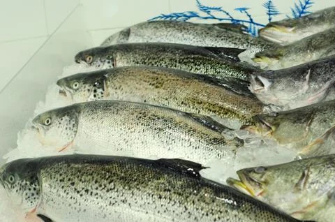 Fish market Stock Photos