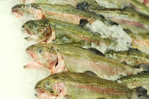 Fish market Stock Photos