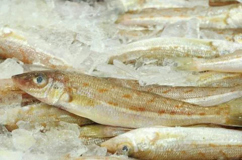Fish market Stock Photos