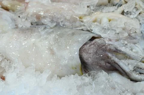 Fish market Stock Photos