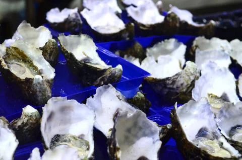 Fish market Stock Photos