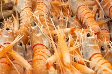 Fish market Stock Photos
