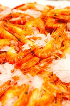 Fish market Stock Photos
