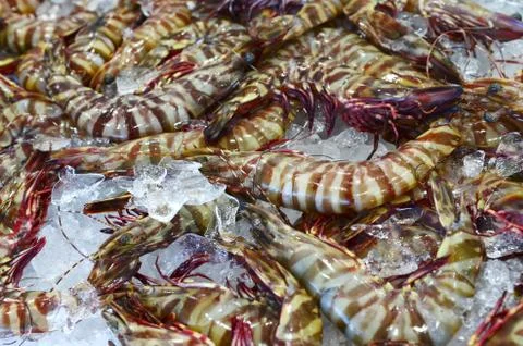 Fish market Stock Photos