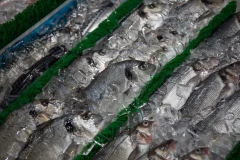 Fish in Market Stock Photos