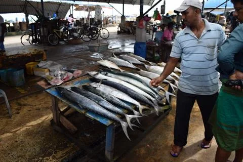 Fish market Stock Photos