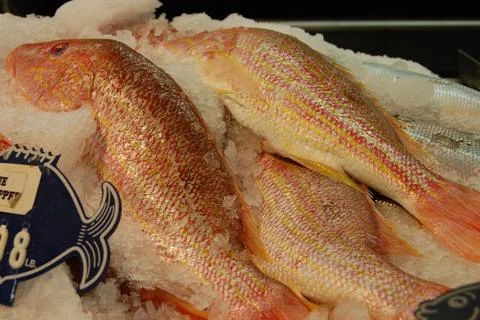 At the Fish Market Stock Photos