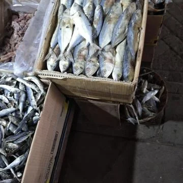 Fish Market Stock Photos