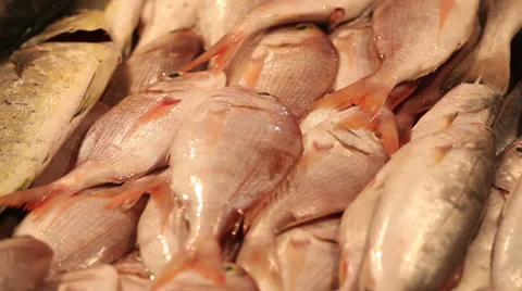 Fish market. Textures 库存影片 37039295
