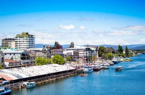 Fish market in Valdivia Stock Photos