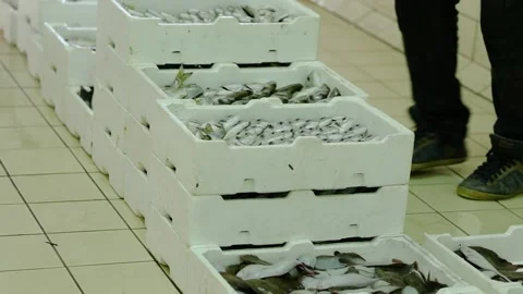 Fish market workers stack and arrange cr... | Stock Video | Pond5