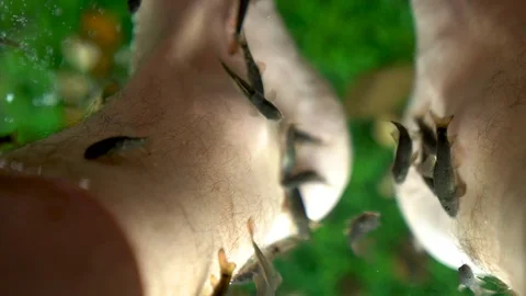 Fish Massage Stock Footage 129872283