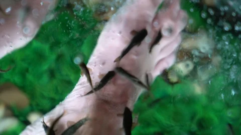 Fish Massage Stock Footage 129872675