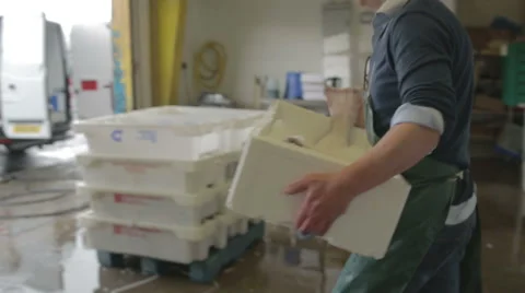 Fish merchant delivering fish to restaurant Stock Footage 58093628