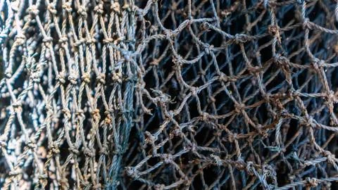 Fish mesh texture as background Stock Photos