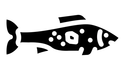 Fish microplastics animation Stock Footage 326727723
