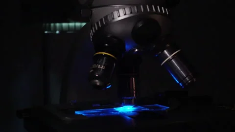 FISH microscopic Stock Footage 94684789