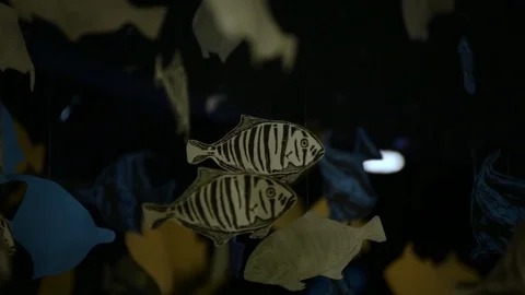 Fish Mobile Stock Footage 105393245