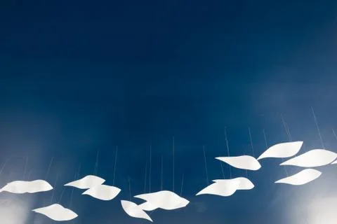 Fish model hanging on the wall with dark  blue background Stock-Fotos
