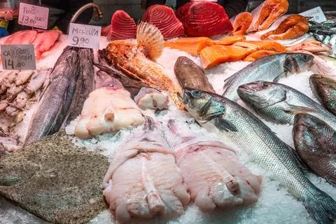 Fish monger with a catch of fresh fish Stock Photos