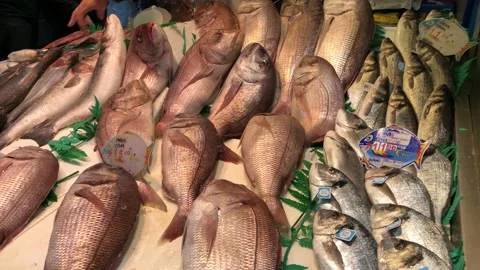 Fish monger Stock Footage 133648750