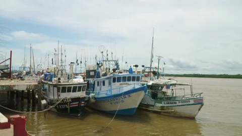 Fish monger showing off large fish Stock Footage 159622376