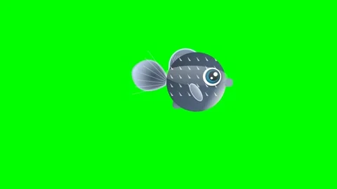 Fish Motion - Chroma Key Green Screen Footage Stock Footage 336960479