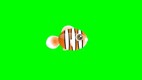 Fish Motion on Green Screen Chroma Key Background Video stock 336959270