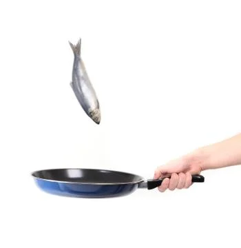 Fish motion in pen Stock Photos