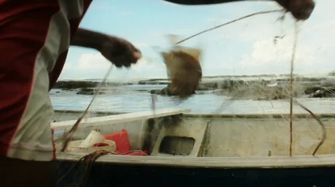 Fish on net Stock Footage 708687