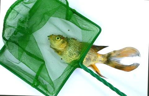 Fish net Stock Photos