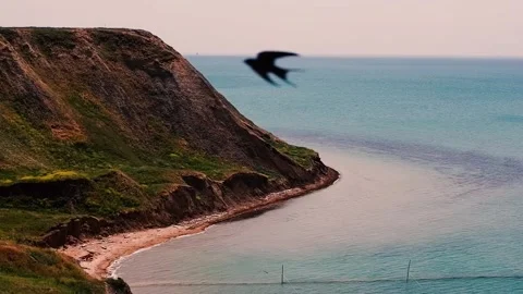 Fish net trap at sea Stock Footage 310818497