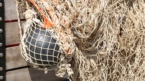 Fish Nets Close Up Stock Footage 77601961