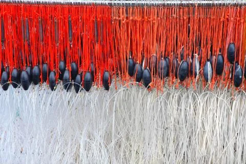 Fish nets Stock Photos