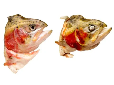 The Fish object. Foto stock