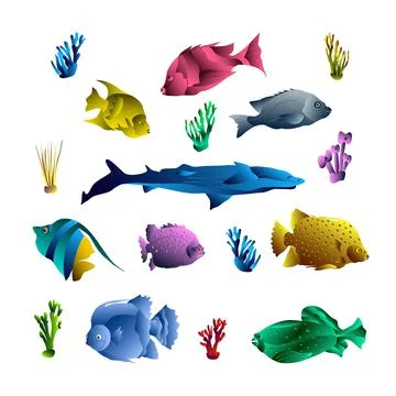 Fish Objects Set Illustration