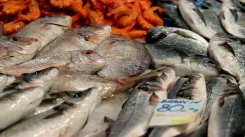 Fish offer Stock Footage 12134710