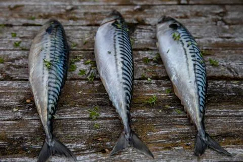 The fish is old on the table Foto stock