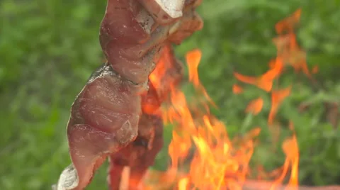 Fish on an open fire the close up Stock Footage 55228997