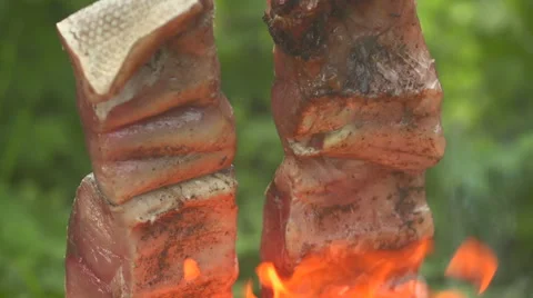 Fish on an open fire Stock-Footage 55222110