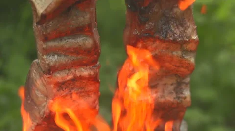 Fish on an open fire front view close up Stock Footage 55232010