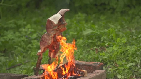 Fish on an open fire the side view Stock Footage 55229800