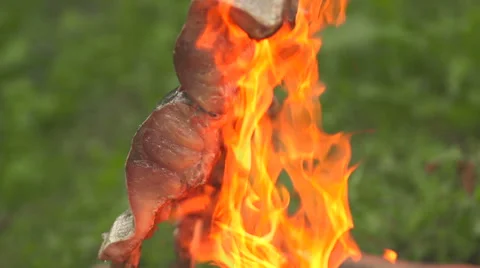 Fish on an open fire side view close up Stock Footage 55230930