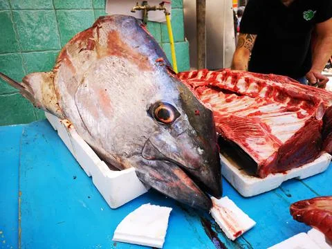 Fish in open seamarket Foto stock