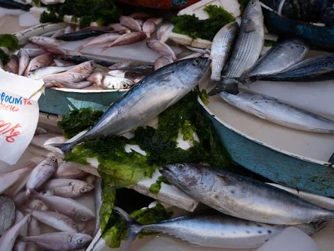Fish in open seamarket Foto stock