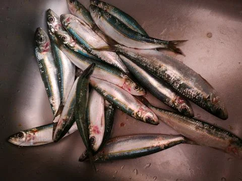 Fish in open seamarket Stock Photos