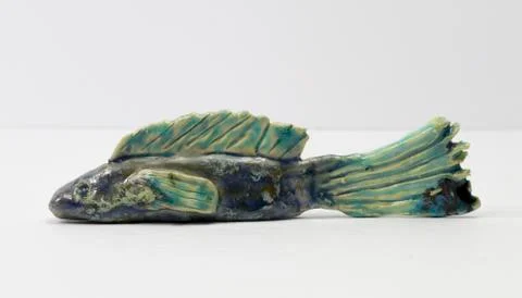 Fish Out of Water Stock Photos