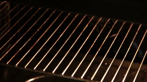 Fish in the oven Stock Footage 79975775