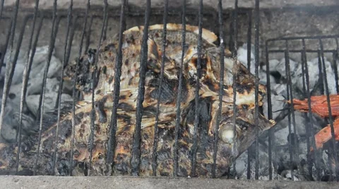 Fish in an oven tray being roasted in a grill. Stock Footage 44783091